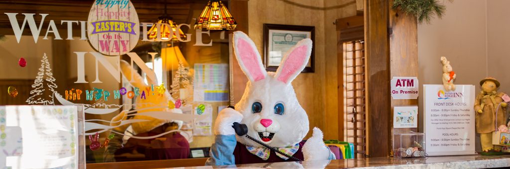 the easter bunny answering the phone at waters edge inn