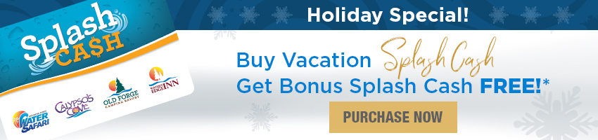 Adk Christmas On Main Street Water S Edge Inn Hotel Lodging Old Forge Ny 13420