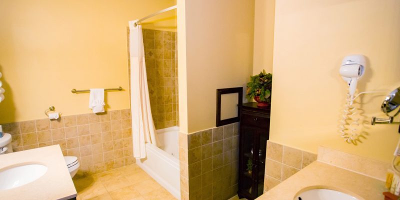 A bathroom with a toilet, a bathtub shower, two separate sinks, and a cabinet with a plant on it