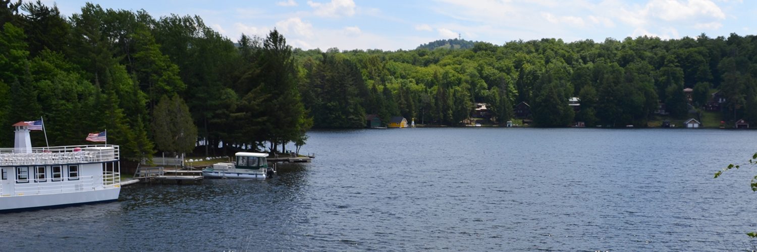 view of the lake in the summer with trees in the background