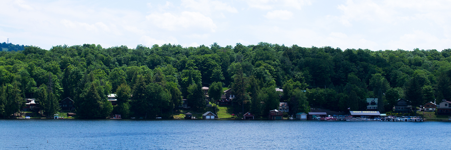 View of the lake with summer trees and houses beyond