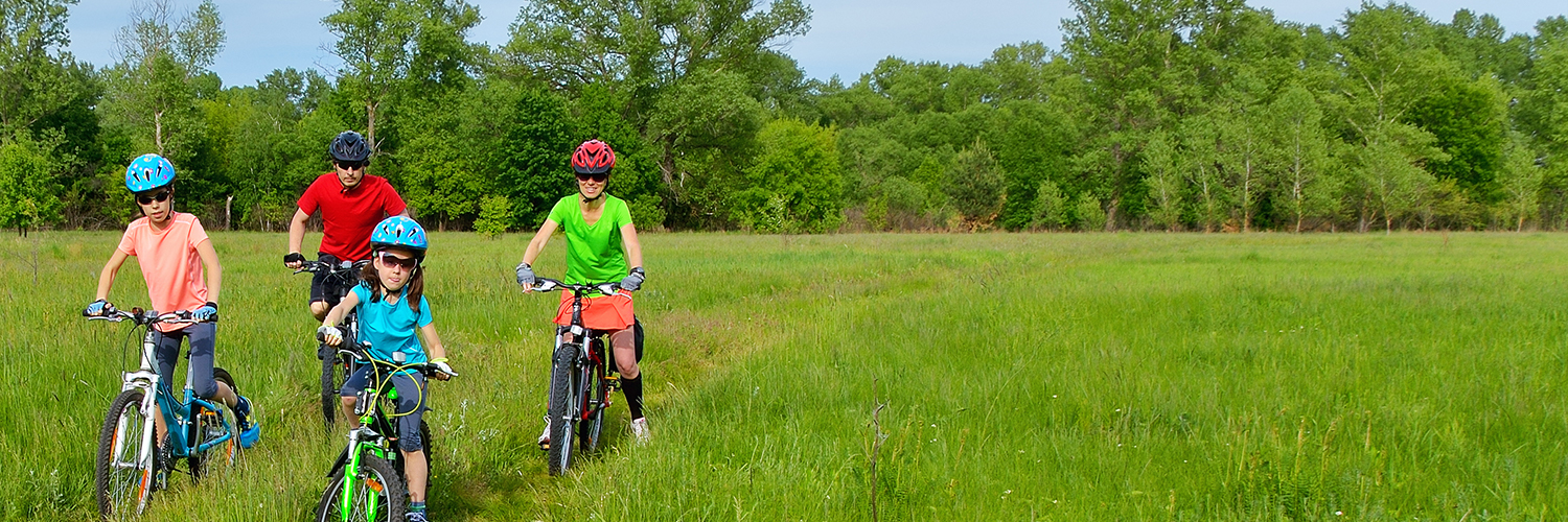 A family on a summer day biking in a meadow