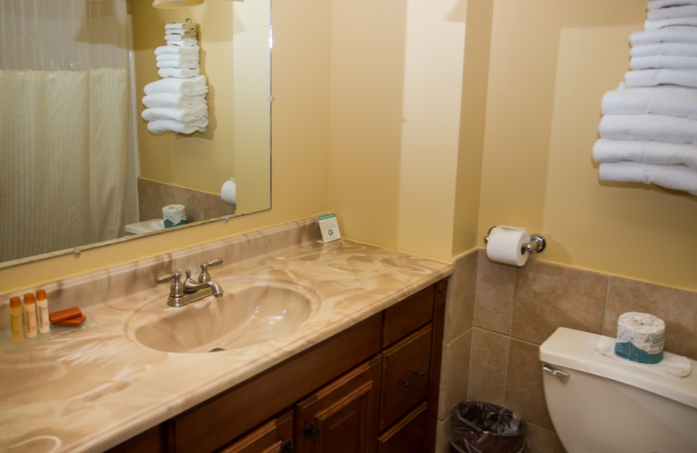 a double vanity sink in a hotel bathroom