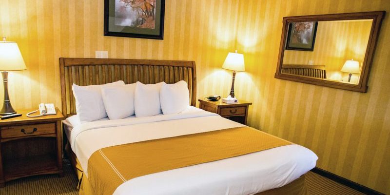 A lamp lit hotel room with a bed and two nightstands