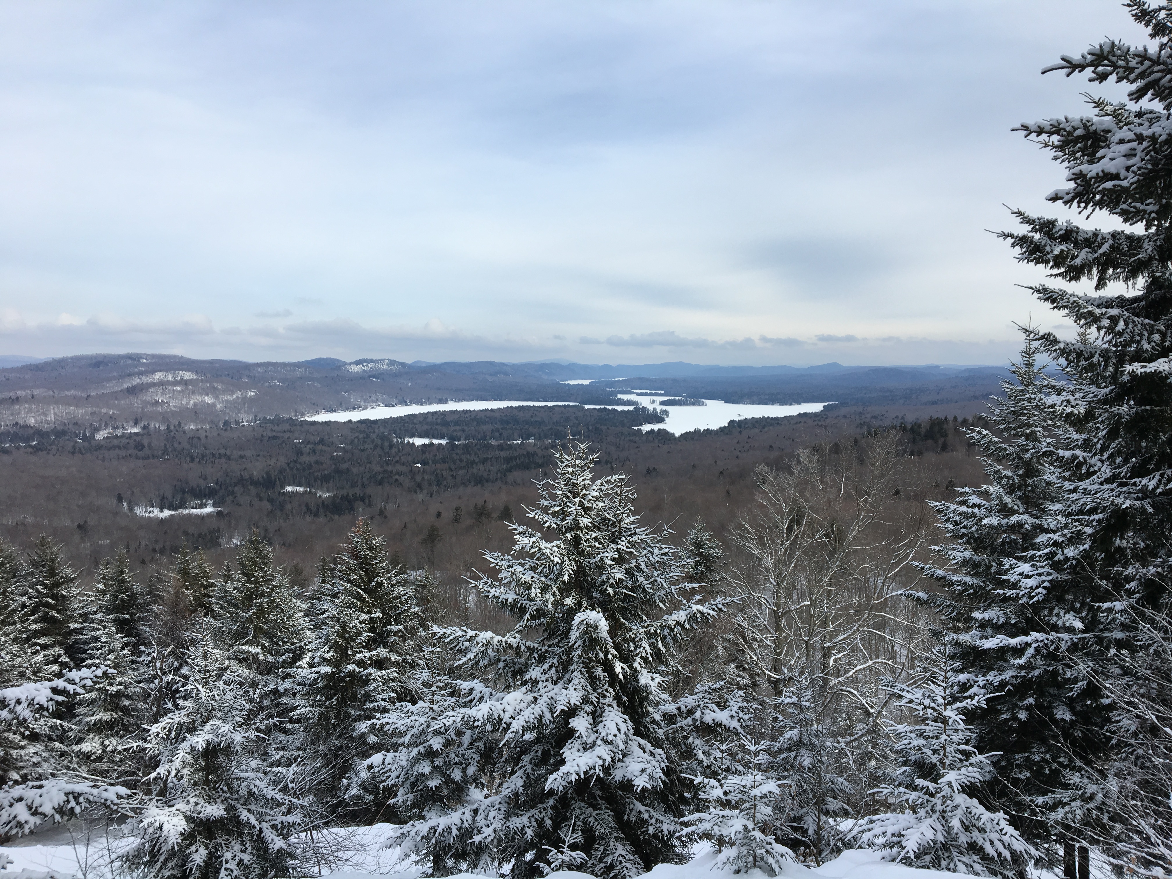 Winter mountain scene