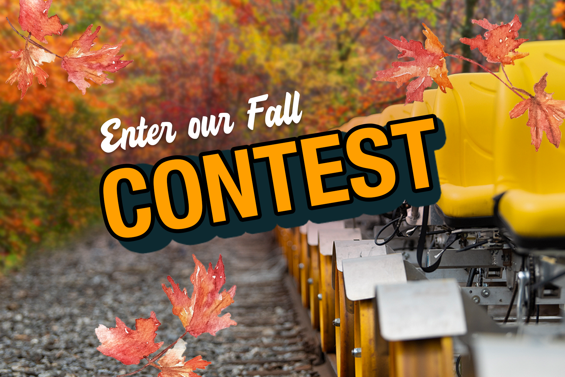 Fall Contest